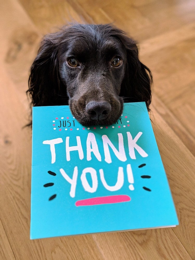 photo of dog with thank you card